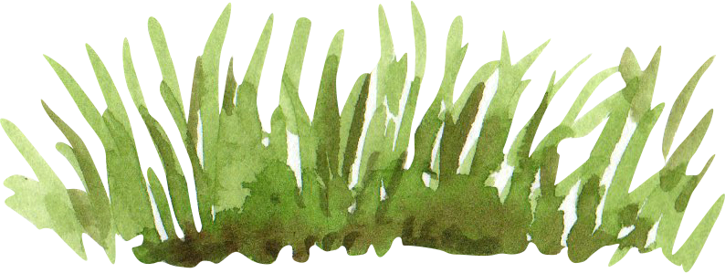 Green Grass Watercolor Painting Cutout