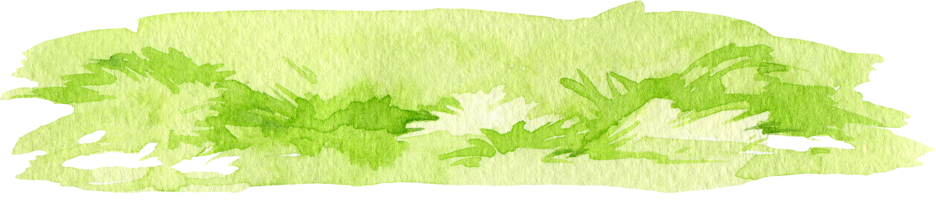 Green grass watercolor illustration element