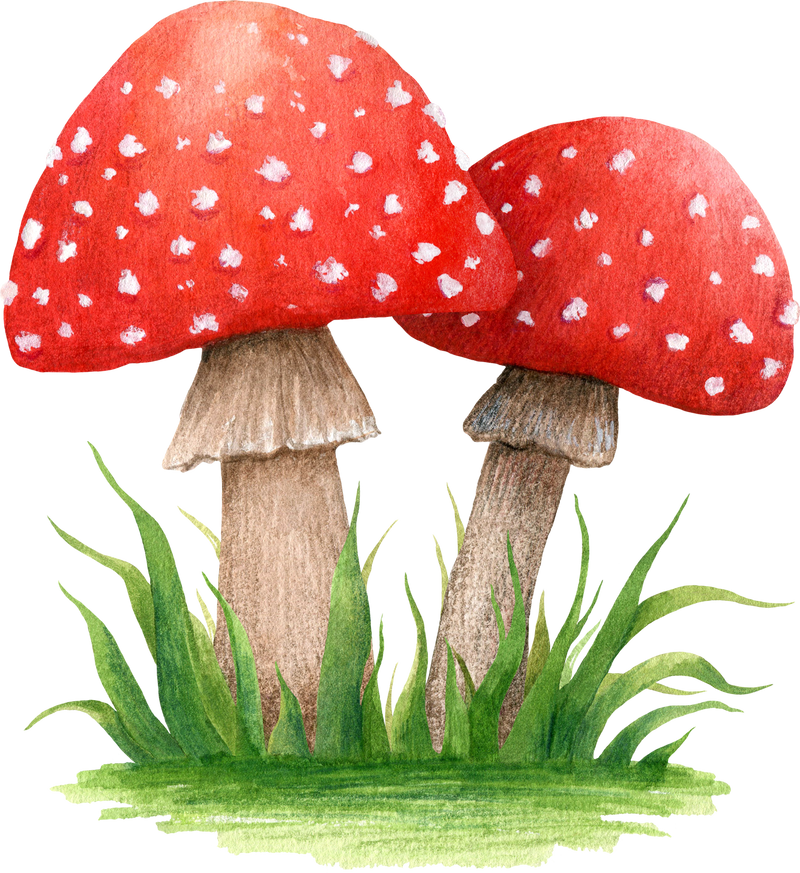 Two Amanita in the Grass